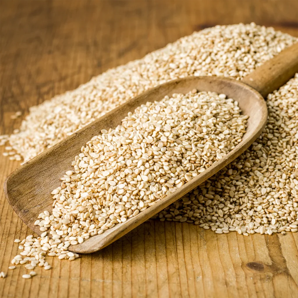 Sesame Exporter from India